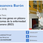 Imagen Invitación al Examen de Grado de Rubén Andrés Casanova Barón