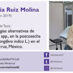 Imagen Invitación al Examen de Grado de Victoria Estefanía Ruiz Molina