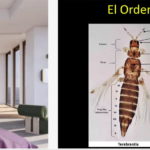 Imagen Se realizó el sexto Seminario Científico del periodo 202601