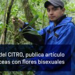 Imagen Pedro Díaz, egresado del CITRO, publica artículo sobre polinización de aráceas con flores bisexuales