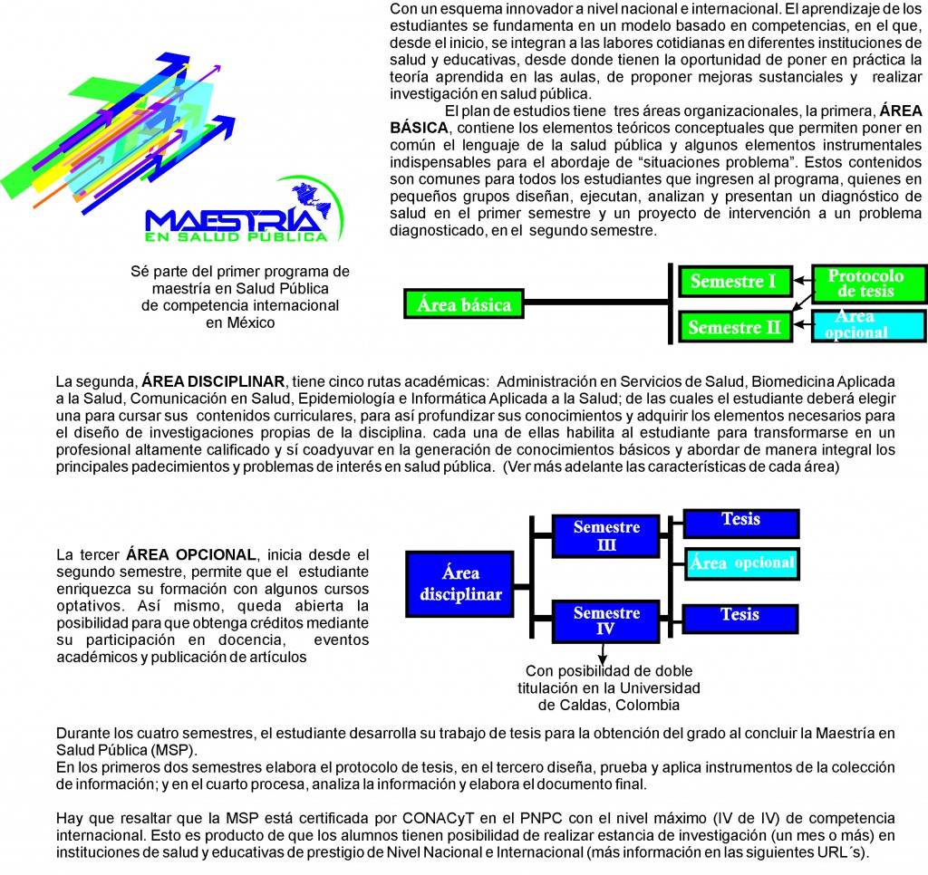 estructura de programa de la MSP