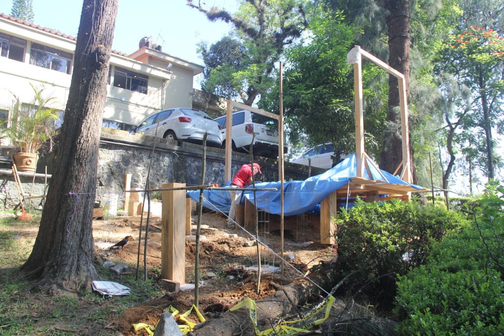 Madera de árboles derrumbados es reutilizada para la construcción de otros espacios dentro de la UV