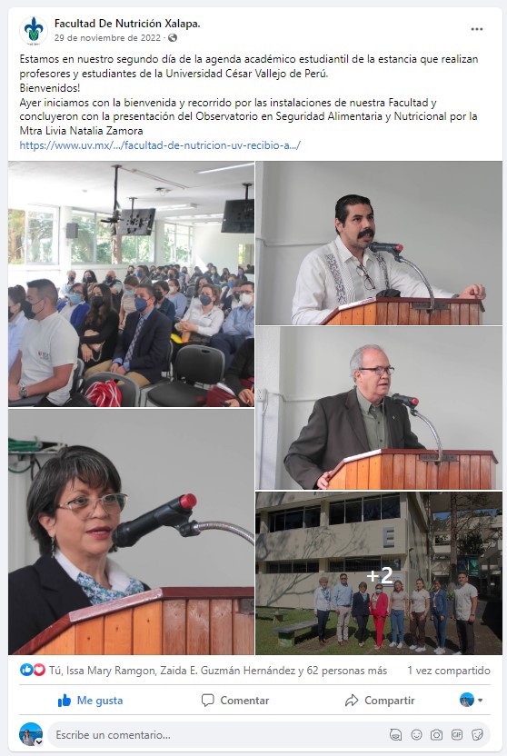 Imagen Presentación del OBSAN