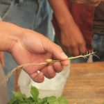 Imagen Evento demostrativo en el Beneficio Puerto Rico de Coatepec