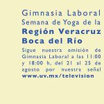 Imagen Back Gimnasia