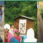 Imagen Cursos: Reencontrándose con la Naturaleza