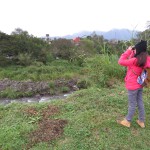 Imagen 8° Conteo Navideño de Aves