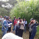 Imagen Observación de Aves