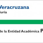 Imagen PLADEA 2009 – 2013