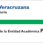 Imagen PLADEA 2009 – 2013