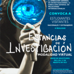 Imagen Estancia virtual en proyecto de Ingeniería Sísmica para estudiantes nacionales y extranjeros