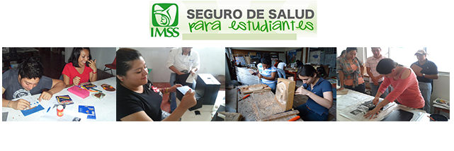 Imagen Seguro Facultativo