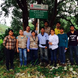En el proyecto participan académicos y tesistas.