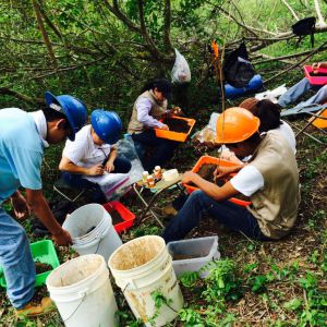 El muestreo comenzó en diciembre de 2015.