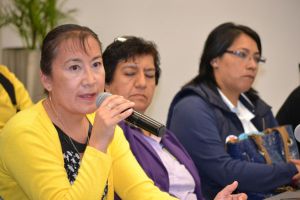 Patricia Reyes Benítez, presidenta del DIF de Rafael Delgado