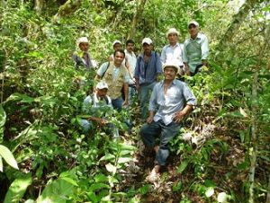 Desde 2009, David Moreno se ha dedicado a la búsqueda y rescate de germoplasma silvestre de vainilla