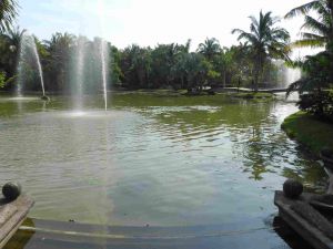 El lago del campus Mocambo es emblemático y a menudo se usa para fotografías