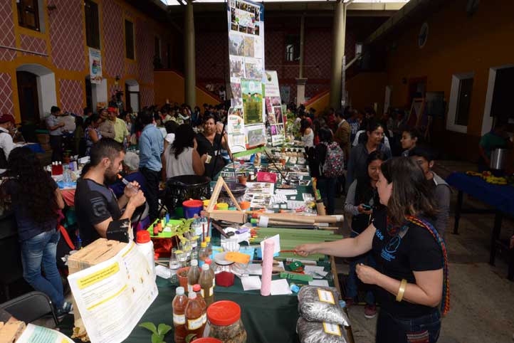 Instrumentos-con-materiales-reciclados-y-huertos-escolares
