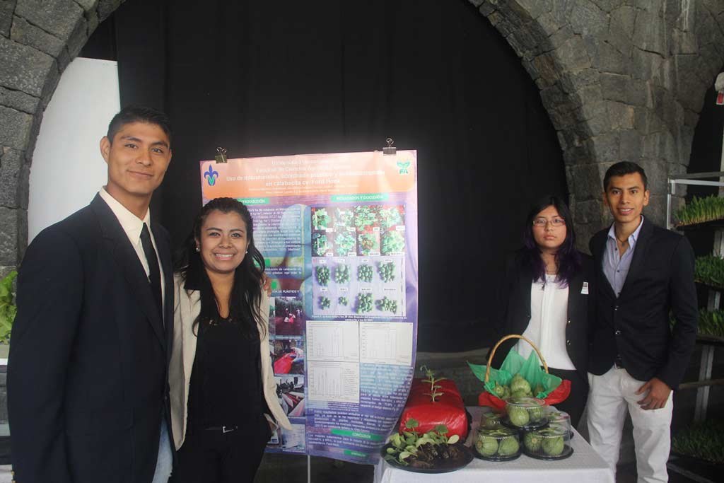 Estudiantes trabajaron en proyectos, en los cuales abordaron necesidades del entorno