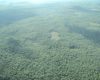 La Selva Maya es una de las zonas forestales mejor conservadas por los beneficios económicos y servicios ambientales