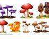 Los hongos presentan una gran variedad de formas y colores