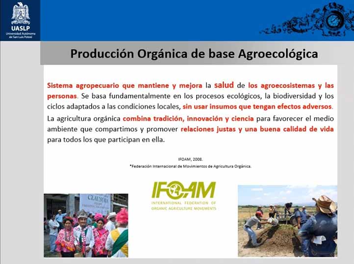 El profesor dictó la ponencia “Agroecología, certificación orgánica participativa y mercados locales ante la pandemia por Covid-19” 