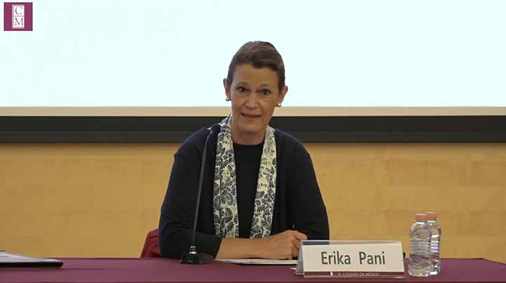 Erika Pani, investigadora del CEH 