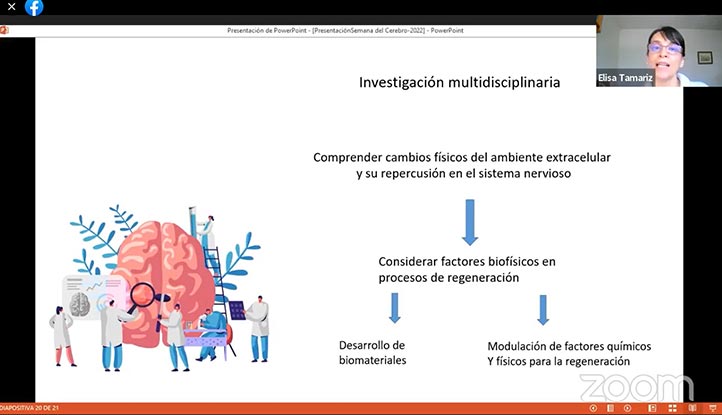 La investigación multidisciplinaria puede abordar temas como la regeneración de lesiones en médula espinal