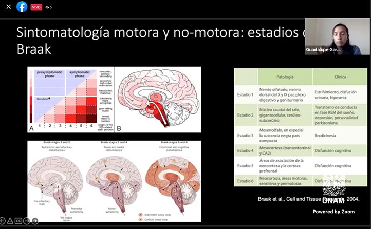 El mal de Parkinson cuenta con seis fases de desarrollo