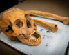 El objetivo es proporcionar las bases teóricas y metodológicas para la identificación humana, mediante el análisis de los restos óseos