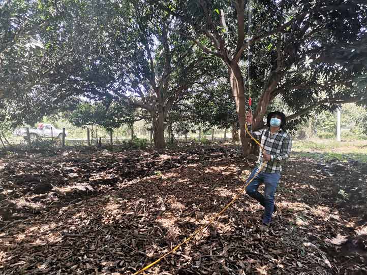 En el rancho La Bandera, los estudiantes ensayan diferentes técnicas de aplicación de insecticida