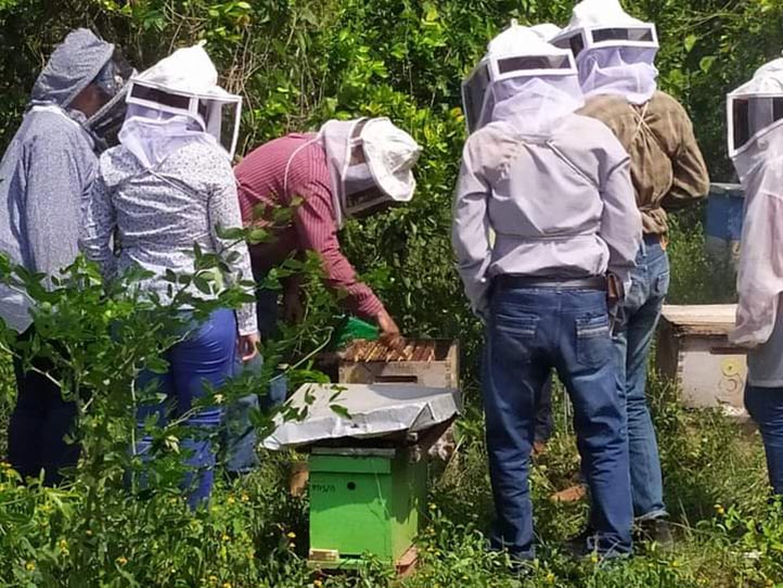  Los participantes mostraron gran interés por el mundo de la apicultura