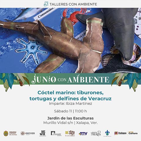Ibiza Martínez Serrano impartirá el taller “Cóctel marino: tiburones, tortugas y delfines de Veracruz”