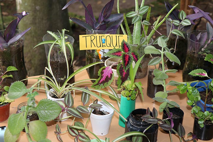 El 1er Foro-Taller: Eco-Trueque fomenta el intercambio de plantas
