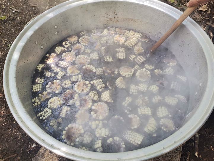 La “sopa campesina” tiene como ingredientes base el frijol y los elotes