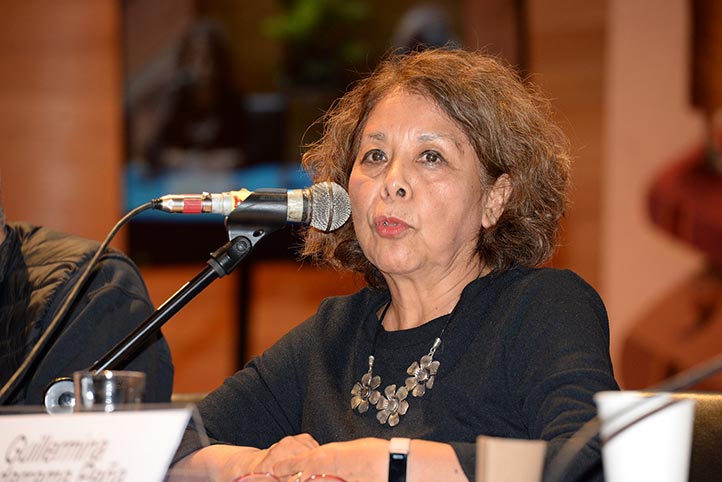 Guillermina Guadarrama Peña, académica de la UNAM