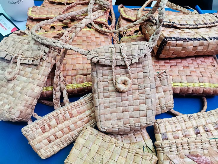 Bolsos fabricados con lirio acuático por los habitantes de Nacaxtle