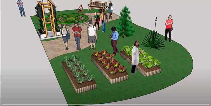 Creación de huertos autosustentables en espacios verdes para el abastecimiento de materia prima sana en los comederos universitarios