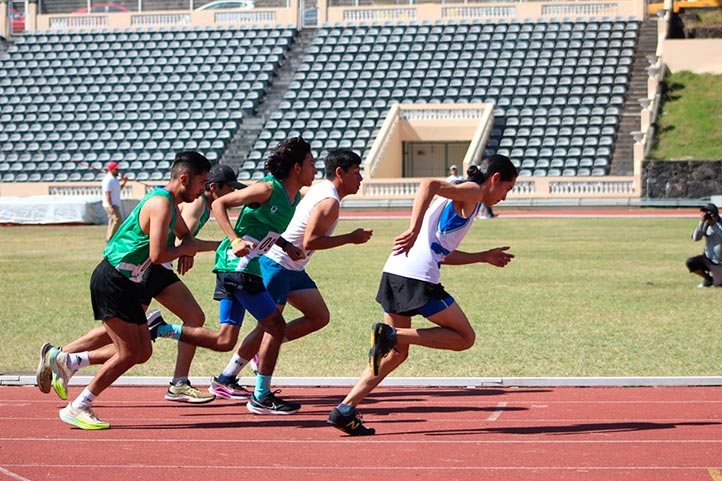 A través de 11 disciplinas deportivas, los Halcones UV se alistan para la Universiada Regional