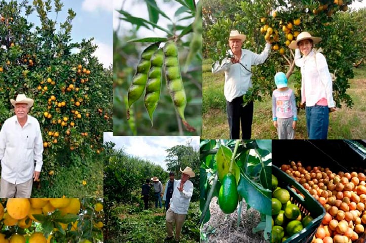 Las prácticas agroecológicas respetan el intercambio de saberes, así como el uso de recursos locales