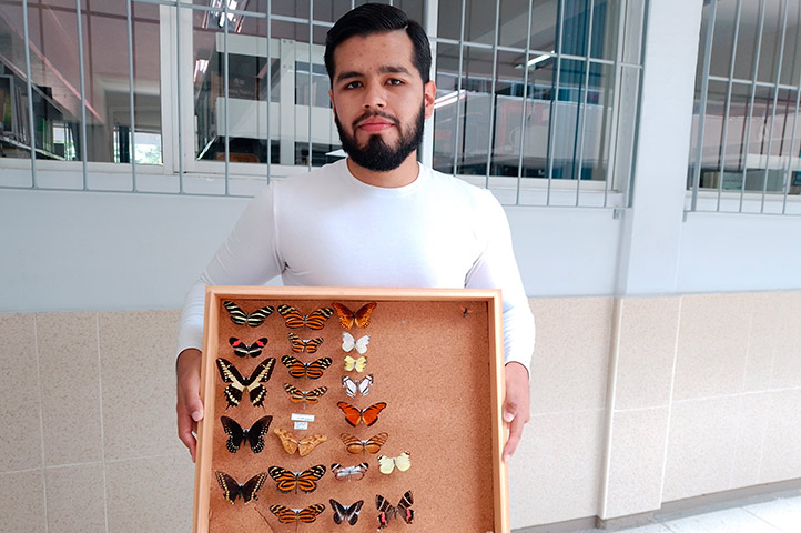 Víctor Alberto Cepeda desarrolla investigación sobre lepidópteros por su relevancia en la polinización