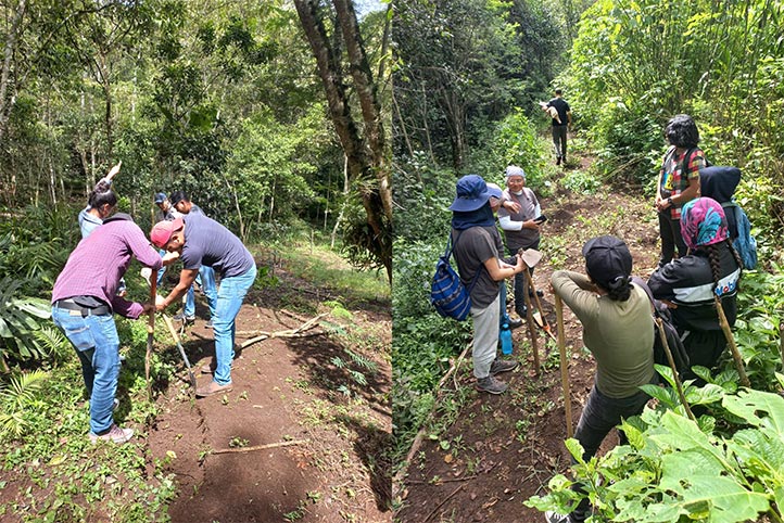 Estudiantes de la UV-Intercultural y de la Facultad de Ciencias Agrícolas realizaron prácticas en el Agrobosque Universitario Kaná 