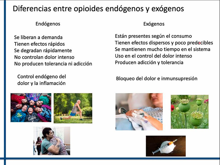 Diferencias entre endógenos y exógenos 