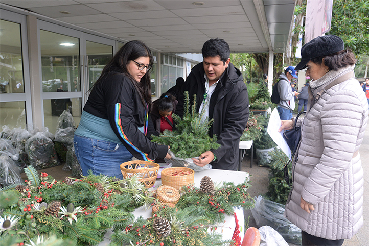 Vendieron coronas y árboles de Navidad, centros de mesa y diversas artesanías elaboradas con ocoxal 