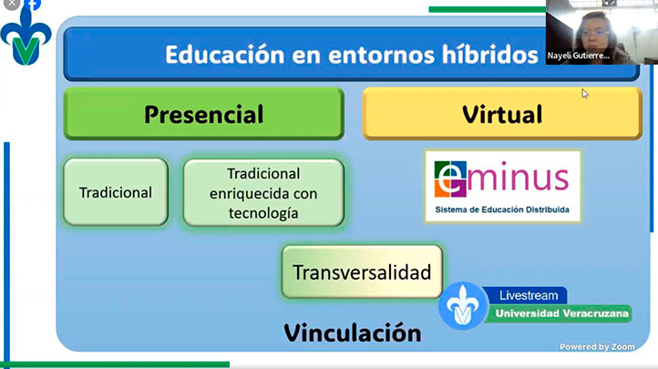 Esquema básico de hibridación, vinculación y transversalidad en la educación