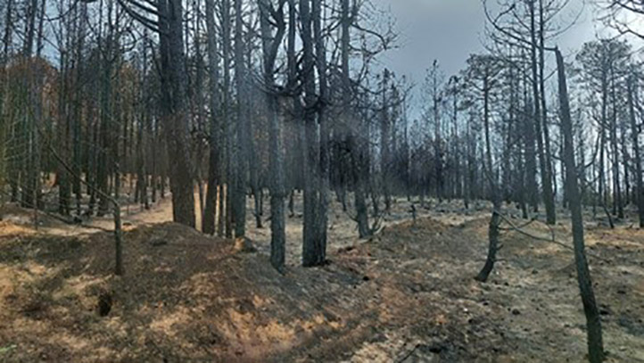 La región noroeste del país se encuentra bajo condiciones de sequía extrema, y las predicciones indican que van a continuar así 