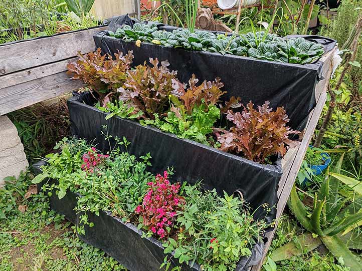 La joven participó en labores de mantenimiento del huerto 