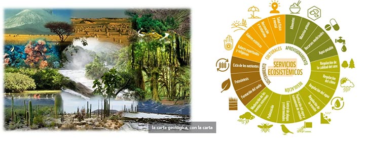 Ante la complejidad conceptual nace la pregunta ¿hasta dónde llegan los recursos naturales? 