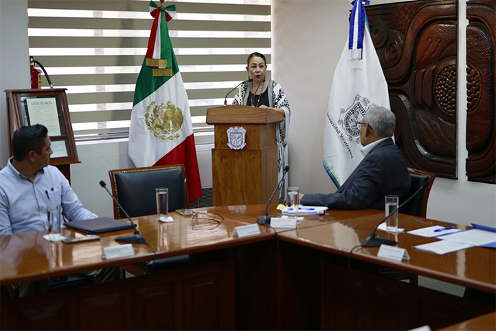 La secretaria de Desarrollo Institucional, Jaqueline Jongitud Zamora, explicó que del 12 al 21 de mayo se realizarán 37 sesiones de auditoría en diversas áreas 