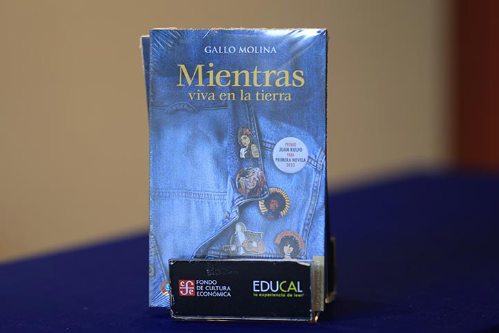 La novela aborda temas como la inquietud, la soledad, la incertidumbre y analiza las nociones de éxito y fracaso de una generación 